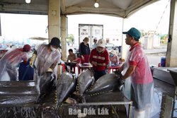 Phường Phú Yên: Tăng tốc cho mục tiêu tăng trưởng hai con số