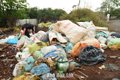 Tỉnh Đắk Lắk tổ chức nhiều hoạt động “Chung tay làm sạch môi trường”