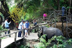 Kỳ vọng bứt phá từ sản phẩm du lịch khác biệt