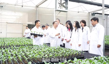 Thu hút đầu tư bằng những chính sách đột phá