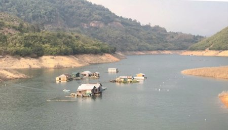 Chuẩn hóa quy định về quản lý công viên, cây xanh, mặt nước