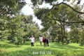 Gieo “hạt giống số” trên vườn sầu riêng Krông Nô