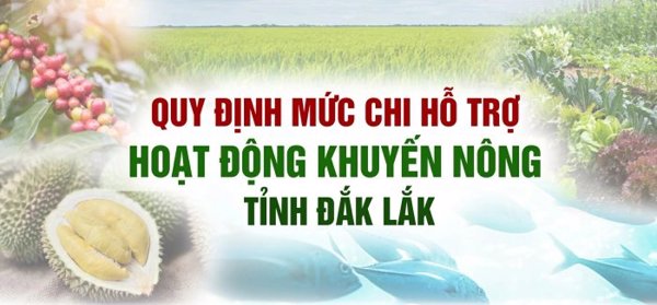 Quy định mức chi hỗ trợ hoạt động khuyến nông tỉnh Đắk Lắk