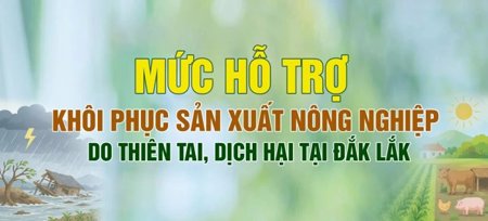  Mức hỗ trợ khôi phục sản xuất nông nghiệp do thiên tai, dịch hại tại Đắk Lắk