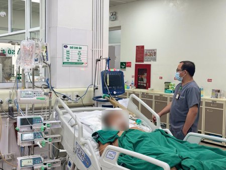 Nỗi lo liên cầu lợn