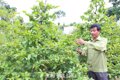 Cựu chiến binh gương mẫu