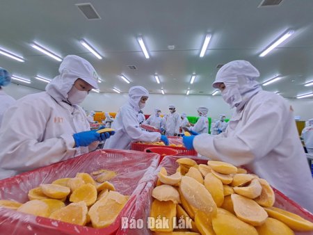 Quyết liệt tạo đột phá trong thực hiện kịch bản tăng trưởng