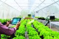 “Tấm hộ chiếu xanh” cho nông sản Việt