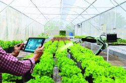 “Tấm hộ chiếu xanh” cho nông sản Việt