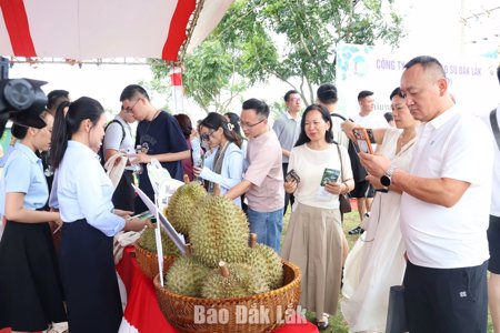 Doanh nghiệp Trung Quốc khảo sát vùng trồng sầu riêng của Dakruco