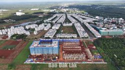 Chủ tịch UBND tỉnh được ủy quyền thực hiện một số nhiệm vụ quản lý nhà nước về đất đai