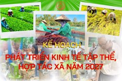 Kế hoạch phát triển kinh tế tập thể, hợp tác xã năm 2027