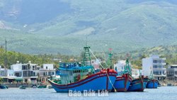 Phường Xuân Đài: Tăng tốc cho mục tiêu tăng trưởng hai con số
