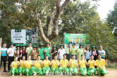 Du lịch sinh thái vườn sầu riêng: Hướng đi mới trong phát triển du lịch nông thôn