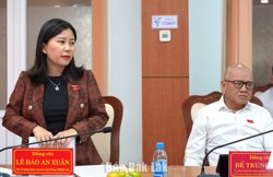 Đoàn ĐBQH tỉnh giám sát việc quản lý, sử dụng tài sản công sau sáp nhập tại phường Buôn Ma Thuột