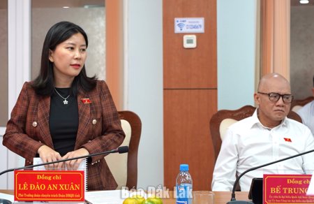 Đoàn ĐBQH tỉnh giám sát việc quản lý, sử dụng tài sản công sau sáp nhập tại phường Buôn Ma Thuột