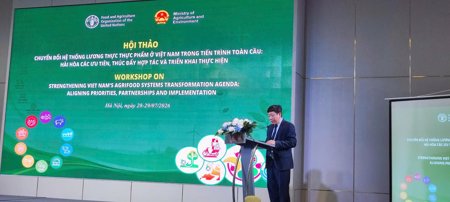 Việt Nam tăng tốc chuyển đổi hệ thống lương thực - thực phẩm