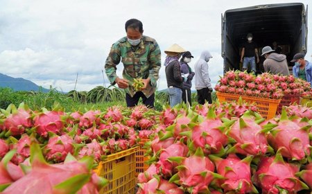 Giữ vững thị trường tỷ USD