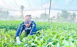 Gần 6 triệu xã viên sẽ được hưởng nhiều chính sách hỗ trợ