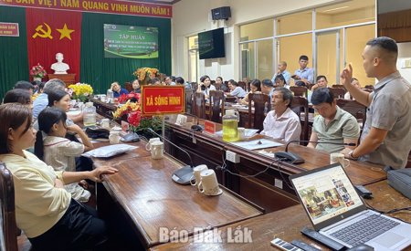 Tập huấn kỹ thuật canh tác ca cao cho nông dân các xã Sông Hinh, Đức Bình, Ea Bá, Ea Ly