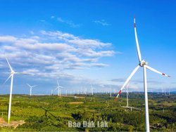 Phát triển năng lượng xanh, bền vững