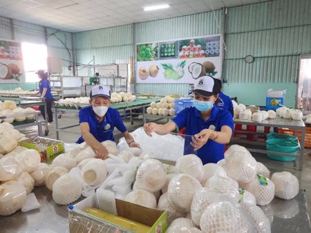 Tháo gỡ điểm nghẽn, tăng tốc xuất khẩu nông sản cuối năm