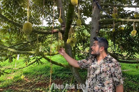 Nông dân sản xuất xanh, thân thiện môi trường