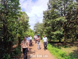 Khảo sát địa điểm phục vụ xây dựng tour du lịch trải nghiệm, thưởng thức sầu riêng tại vườn