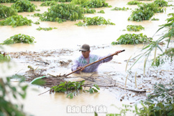 Đẩy mạnh thực hiện Kết luận của Ban Bí thư về tăng cường công tác phòng, chống thiên tai