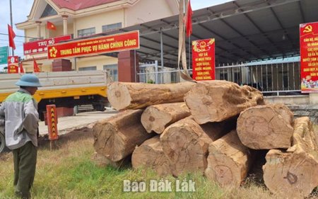 Phát hiện xe tải vận chuyển 10 lóng gỗ không rõ nguồn gốc