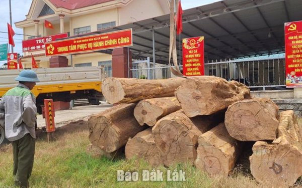 Phát hiện xe tải vận chuyển 10 lóng gỗ không rõ nguồn gốc