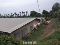 Sớm xử lý mùi hôi từ các trang trại chăn nuôi heo