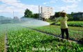 Đắk Lắk đảm bảo nước tưới cho gần 84% diện tích cây trồng