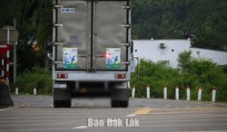 Một tuần, xử lý 289 trường hợp chạy quá tốc độ trên Quốc lộ 1A