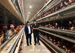 Lợi thế vẫn chưa thành sức mạnh kinh tế, vì sao?
