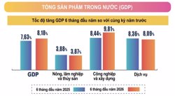 Nửa năm 2026: Việt Nam tăng trưởng 8,18%
