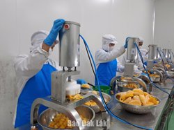 Đắk Lắk tập trung phát triển chuyển đổi số trong doanh nghiệp nhỏ và vừa