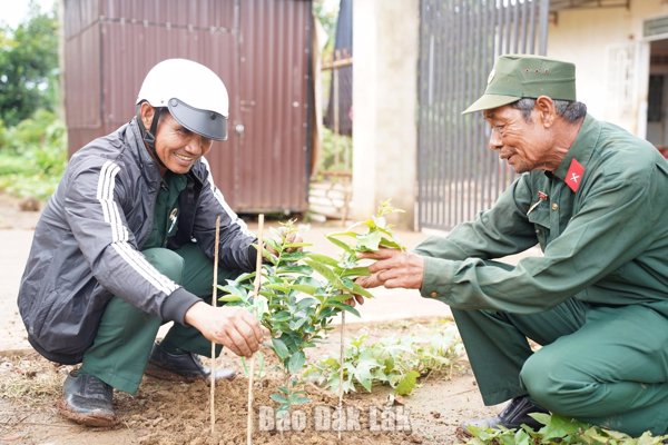 Trồng tuyến đường hoa kiểu mẫu chào mừng Lễ hội Sầu riêng Đắk Lắk 2026