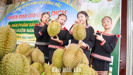 Nước rút chuẩn bị cho Lễ hội Sầu riêng