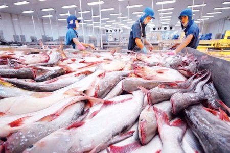 3 kịch bản cho xuất khẩu thủy sản cuối năm