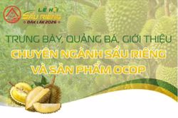 Trưng bày, quảng bá, giới thiệu chuyên ngành sầu riêng và sản phẩm OCOP
