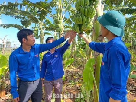 Tạo sinh kế để giảm nghèo bền vững
