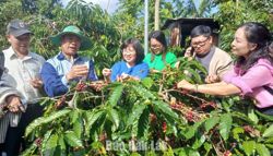 Trải nghiệm xanh - hướng đi mới của du lịch cộng đồng Ðắk Lắk