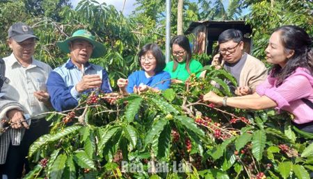 Trải nghiệm xanh - hướng đi mới của du lịch cộng đồng Ðắk Lắk
