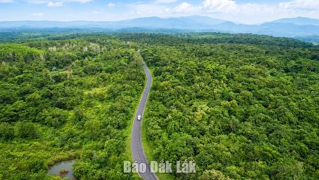 Thiên nhiên trả lời bằng sự hồi sinh
