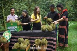 Xã Ea Knuếc: Tổ chức nhiều hoạt động sôi nổi hưởng ứng Lễ hội Sầu riêng Đắk Lắk năm 2026
