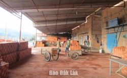 Thanh tra công tác quản lý, sản xuất gạch đất sét nung trên địa bàn tỉnh