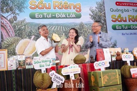 Xã Ea Tul khai mạc livestream quảng bá, tiêu thụ sầu riêng