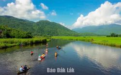 Vẻ đẹp rừng ngập nước Bầu Đá