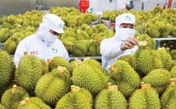 Truy xuất nguồn gốc nông sản: 158.234 sản phẩm đã được kết nối dữ liệu
